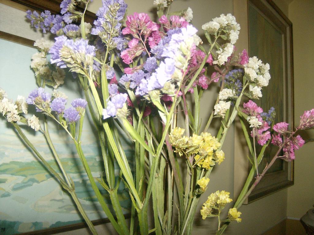 Il Giardino Delle Farfalle Valgioie Bagian luar foto